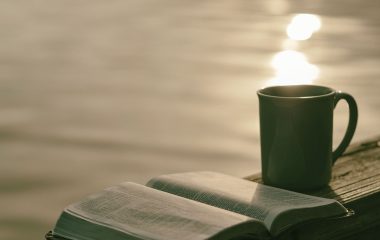 番茄免费小说下载章节目录页面，展示连载小说章节列表与缓存下载选项